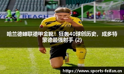 非凡体育平台