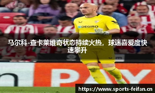 非凡体育平台