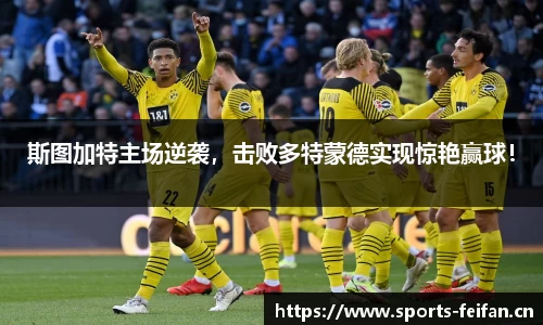 非凡体育官方网站