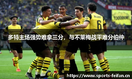 非凡体育官方网站