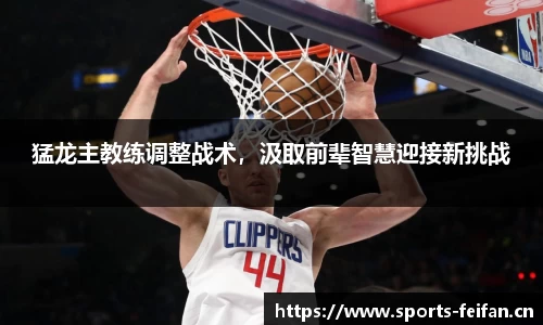 非凡体育官网