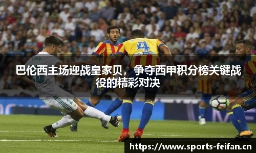非凡体育官网